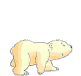 polar bear