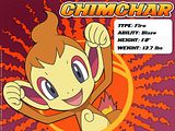 Chimchar.jpg image by ShaneRickabaugh